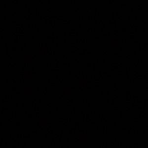 Meet your Posher, Ava